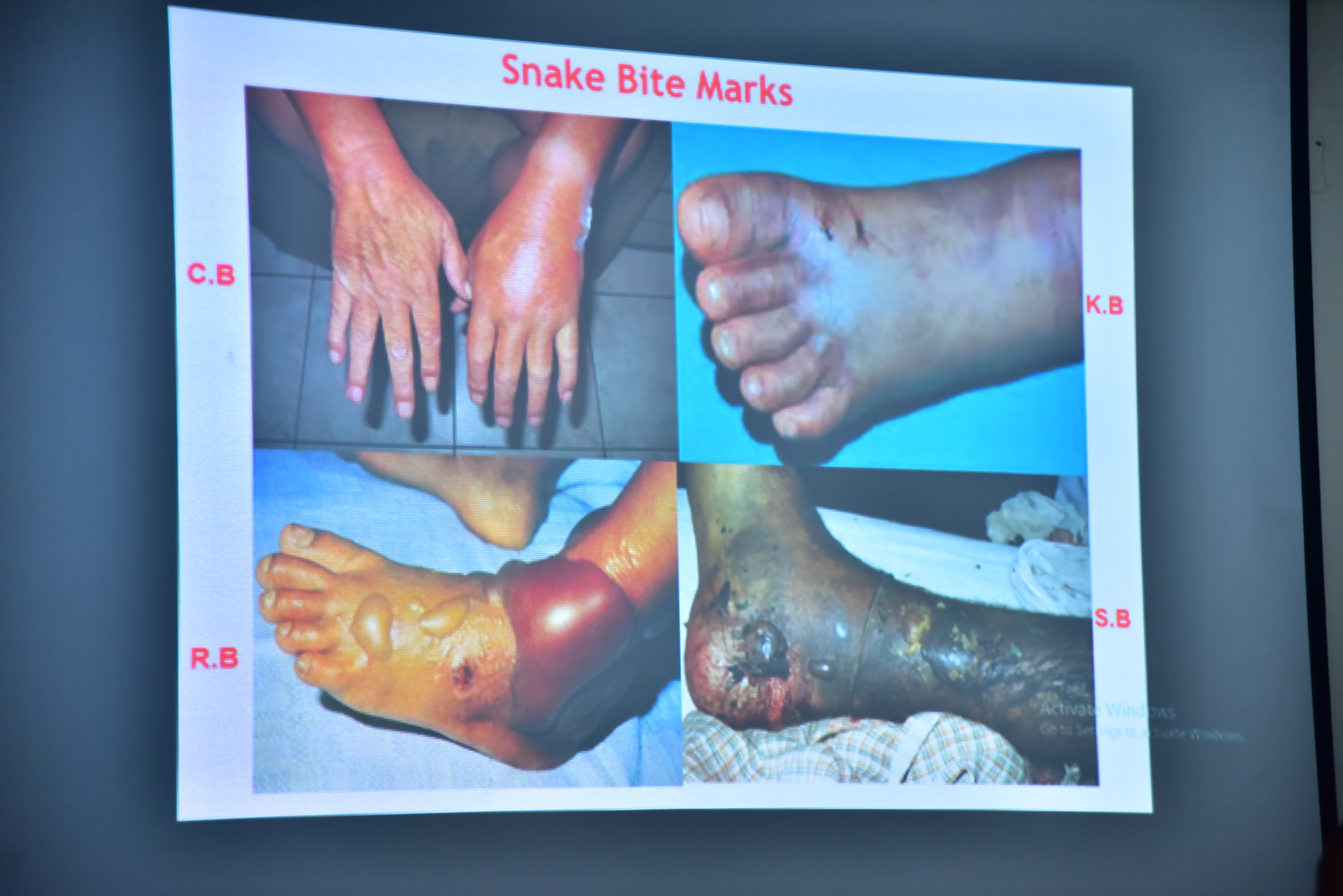 Power point presentation